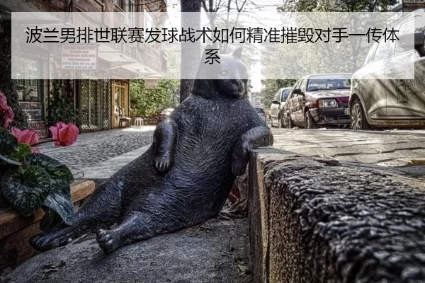bo-lan-nan-pai-shi-lian-sai-fa-qiu-zhan-shu-ru-he-jing-zhun-cui-hui-dui-shou-yi-chuan-ti-xi-2-642.jpg