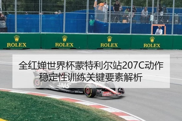 quan-hong-chan-shi-jie-bei-meng-te-li-er-zhan-dong-zuo-wen-ding-xing-xun-lian-guan-jian-yao-su-jie-xi-2-204.jpg